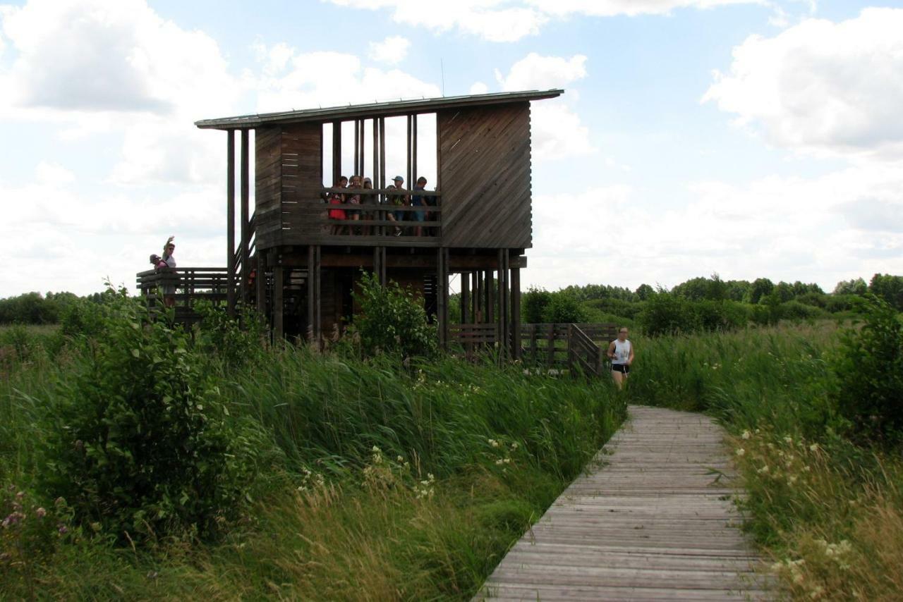 Villa Strefa Kampinos Brochów Exterior foto